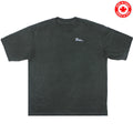 heavyweight washed gym t-shirt 250 GSM TORQ